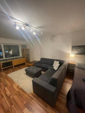 Spacious apartment in centre of Rovaniemi, Rovaniemi